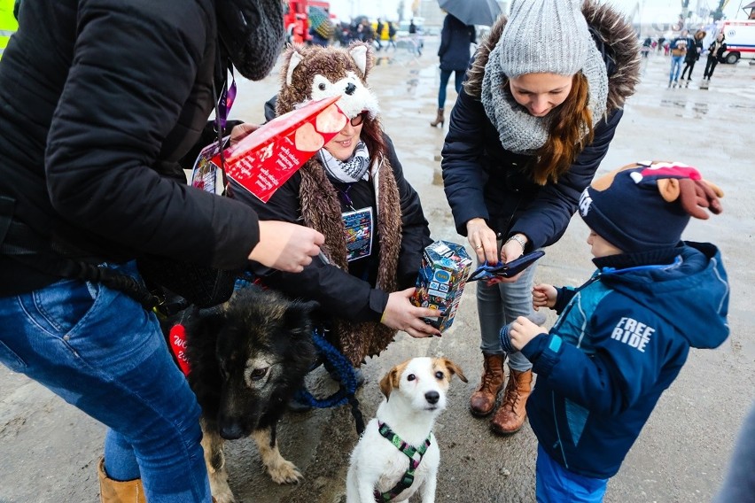 WOŚP 2019 w Szczecinie. Koncerty, pokazy oraz inne atrakcje na Łasztowni [ZDJĘCIA, WIDEO]