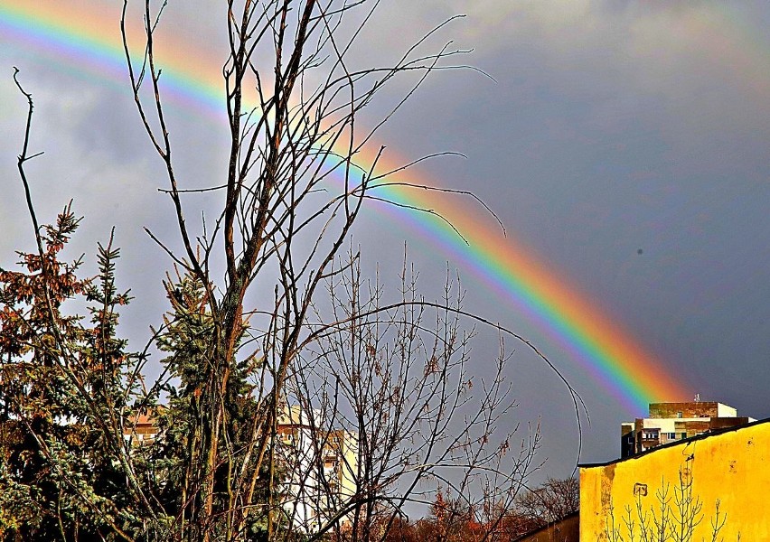 Tęcza nad Łodzią zachwyciła mieszkańców. Widzieliście? ZDJĘCIA