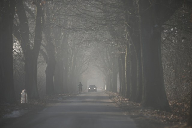 Na przeważającym obszarze województwa opolskiego prognozuje się gęste mgły ograniczające widzialność poniżej 200 m.