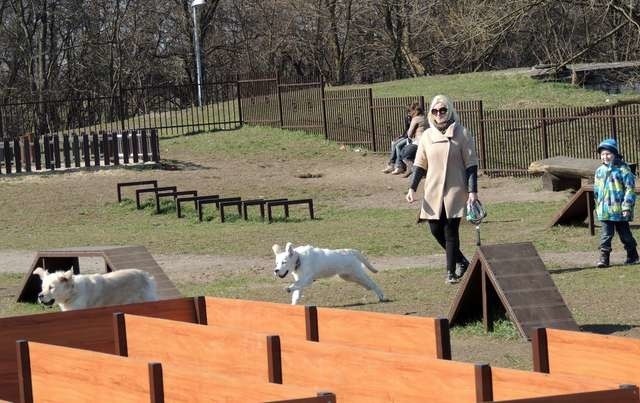 Na wybiegu przy ul. Niesiołowskiego na Rubinkowie pieski mogą się wyhasać do woli