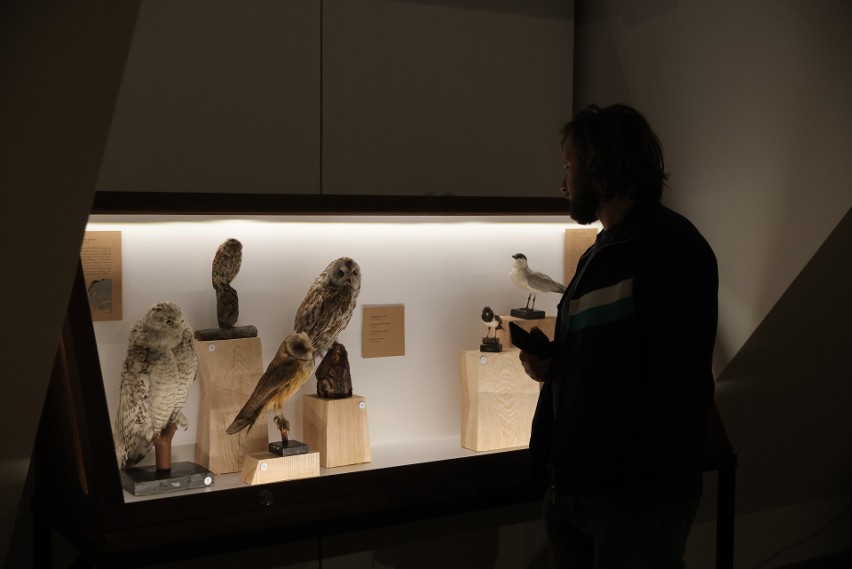 Wystawa "Tatrzańskie Yeti" w Muzeum Tatrzańskim w Zakopanem