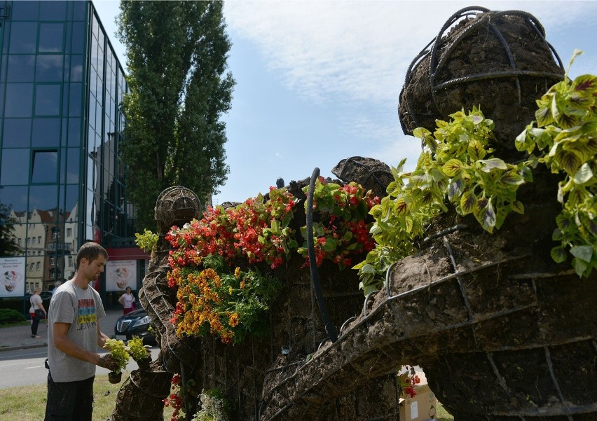 Układanie kwiatów w herbie Gdańska potrwa do piątku