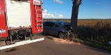 Wypadek w gminie Ustka. Auto uderzyło w drzewo, cztery osoby zostały ranne [ZDJĘCIA]