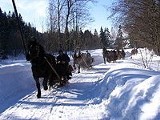 Prezydent Włocławka zaprasza na kulig