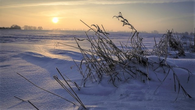 Pierwsze miejsce w kategorii ponad 20 lat za zdjęcie wykonane w okolicach Brzeźna pt. „Trawy w porannym słońcu”