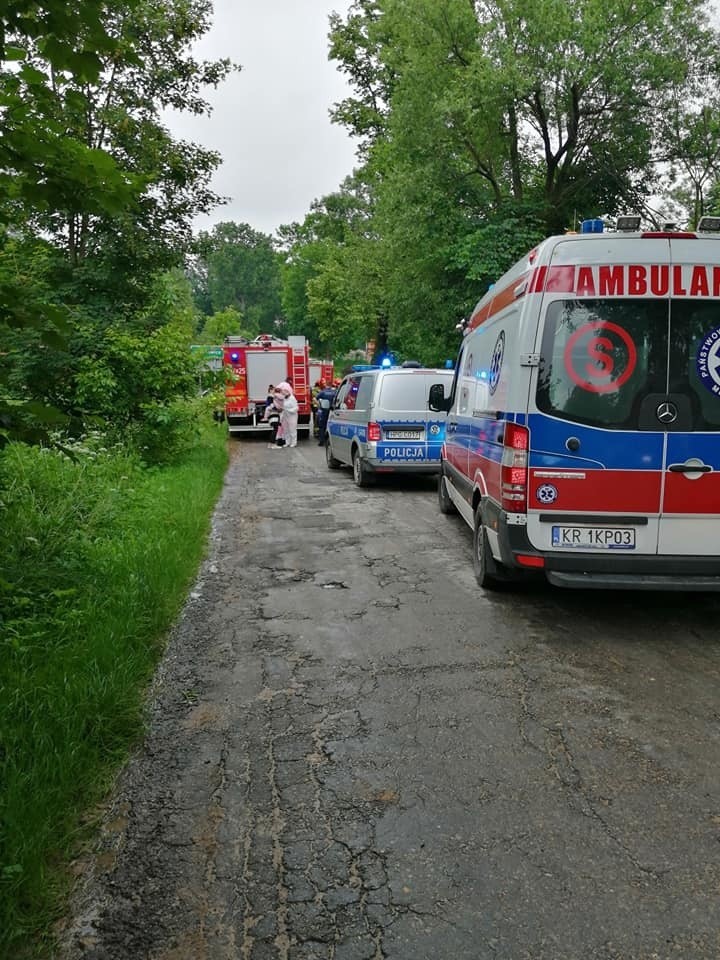 Ten wypadek mógł skończyć się tragicznie. Czy ten pień i to...