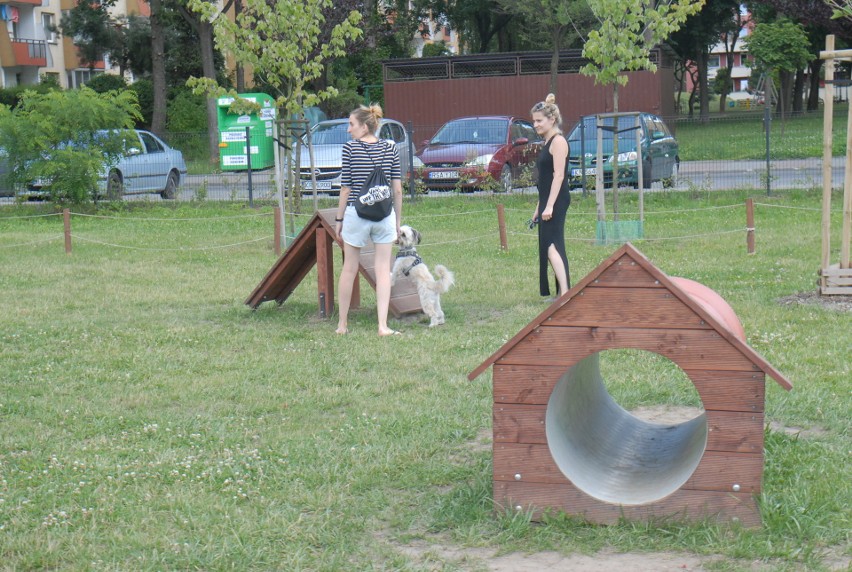 Psi park w Czyżynach to najlepiej wyposażone miejsce dla...