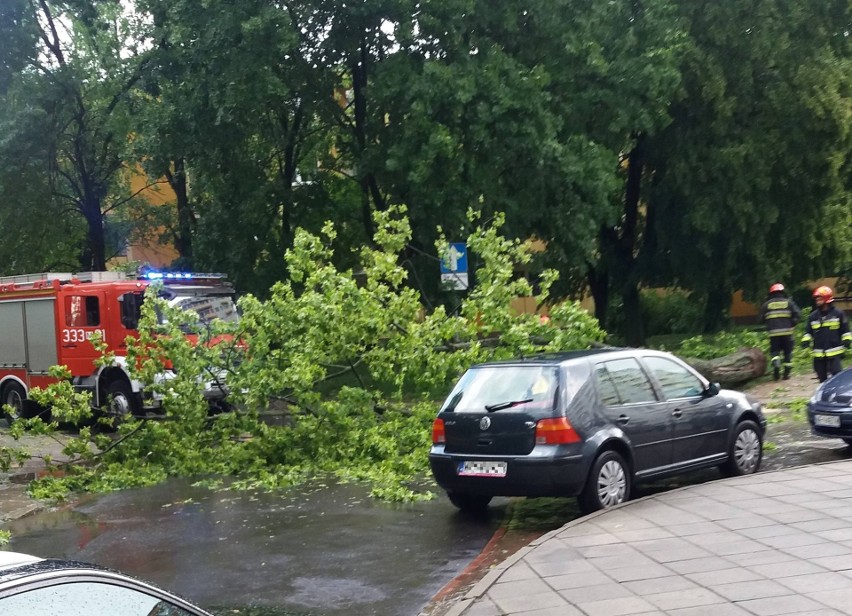 Nocna wichura nad Radomiem i regionem radomskim. Skutki to wiele połamanych drzew, zerwany dach oraz 1,8 tysiąca gosodarstw bez prądu