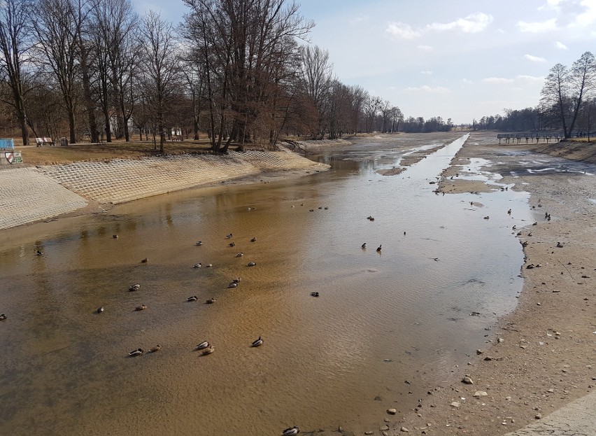 Łódzkie kąpieliska i tereny rekreacyjne przygotowują się do...