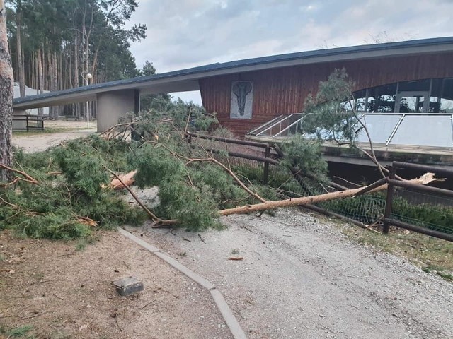 W sobotę, 19 lutego i w niedzielę 20 lutego, Nowe Zoo będzie zamknięte dla zwiedzających.