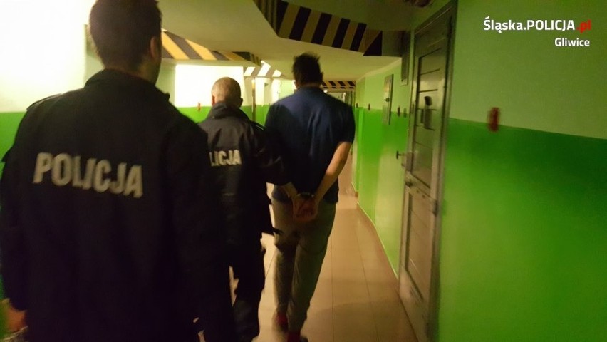 Kibice Piasta Gliwice zatrzymani przez policję