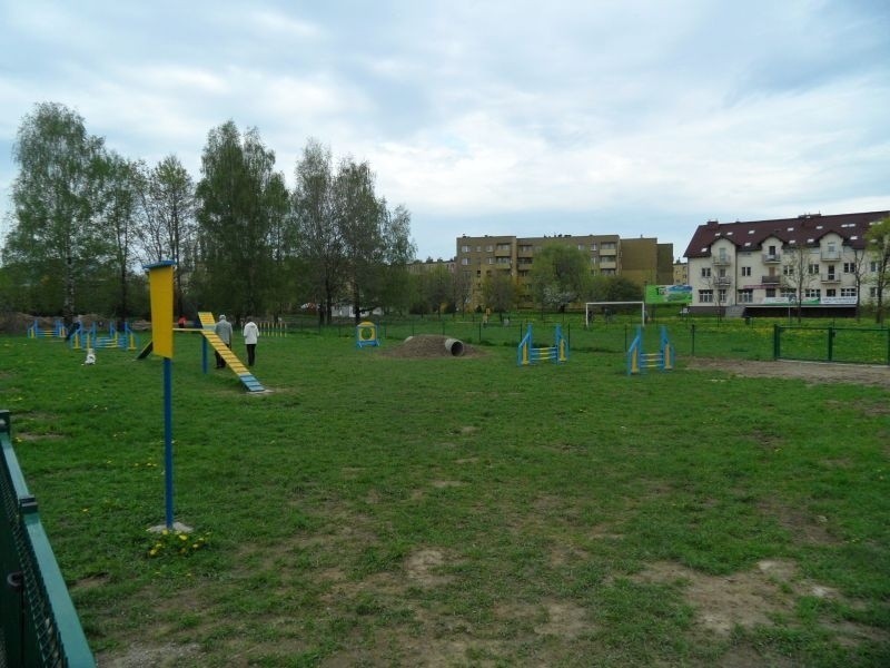 Park dla psów w Pszczynie