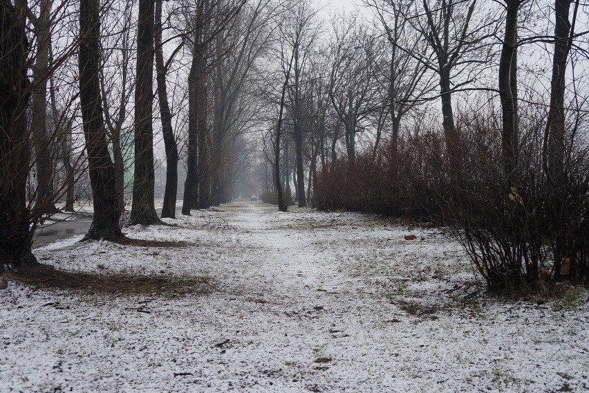 Śnieg Zabrze