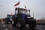 Tarnów. Dziś manifestacja rolników. Paraliż komunikacyjny w centrum