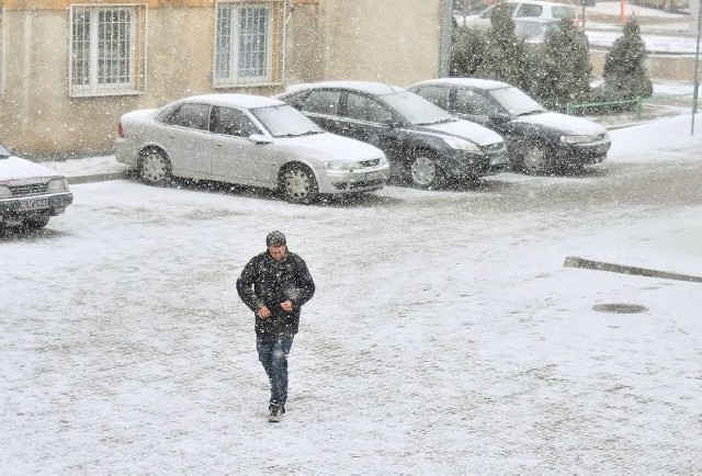 W poniedziałek na północnym Podkarpaciu padał gęsty śnieg.