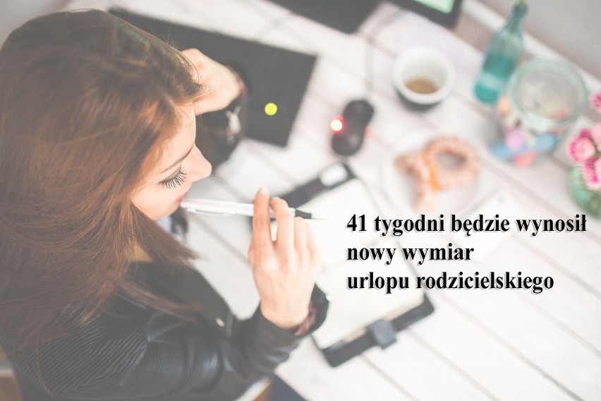 Sprawdź nowe zasady jakie obowiązują od 2023 roku >>>