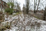 Torowisko tramwajowe na Babiej Wsi w Bydgoszczy nieczynne od 6 lat. Zamiast tramwajów na torach są krzaki