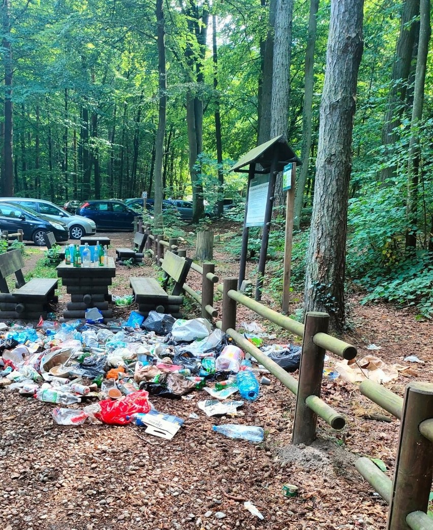 Hałdy śmieci porzucone w lesie w Otominie k. Gdańska. Sytuacja regularnie się powtarza. ZDJĘCIA