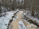 Likwidacja kopalni w Bukownie wpłynie na stan wód w Śląskiem. Rozmowa z dr. hab. inż. Mariuszem Czopem, hydrogeologiem AGH w Krakowie