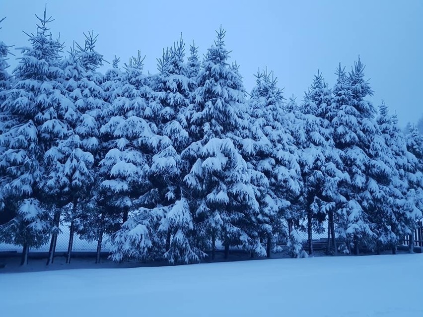 Zima w Bieszczadach. Zdjęcia udostępniła nam Ewelina Baran z...