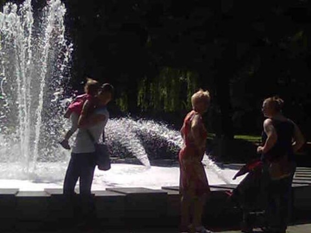 Piana w fontannie na placu Andrzeja w Katowicach