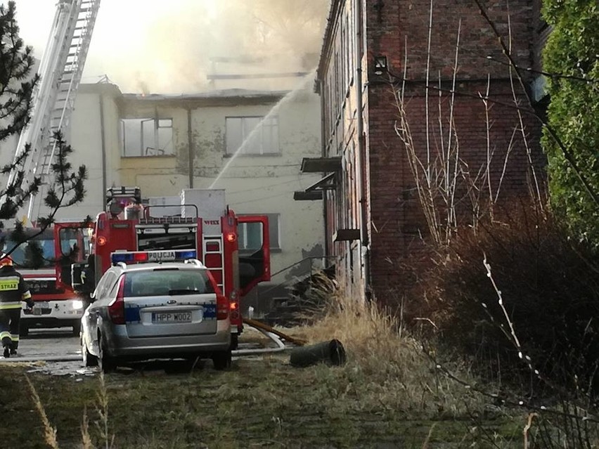 W pożarze w kopalni Anna w Pszowie spłonął dach byłego...
