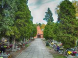 Czy w związku z połączeniem miasta i gminy Zielona Góra zmienią się opłaty za groby?