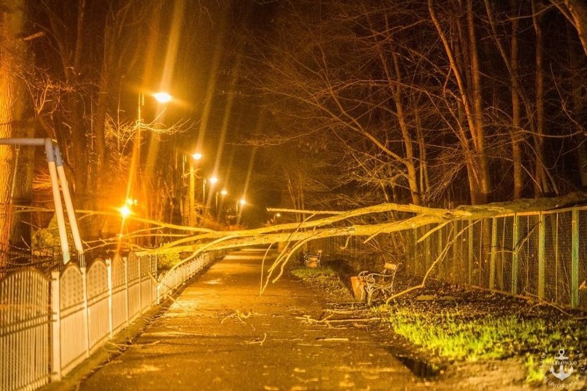 Wichura na Pomorzu 26-27 grudnia. Wypadki, brak prądu, usuwanie drzew [RAPORT, PORADNIK]