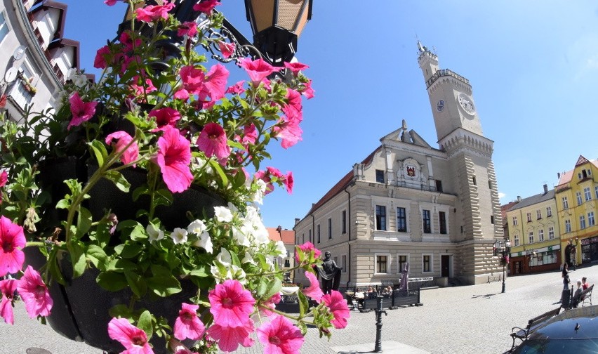 Miło jest przejść przez centrum Świebodzina. A to za sprawą kolorowych roślin nasadzonych w kwietnikach i gazonach 