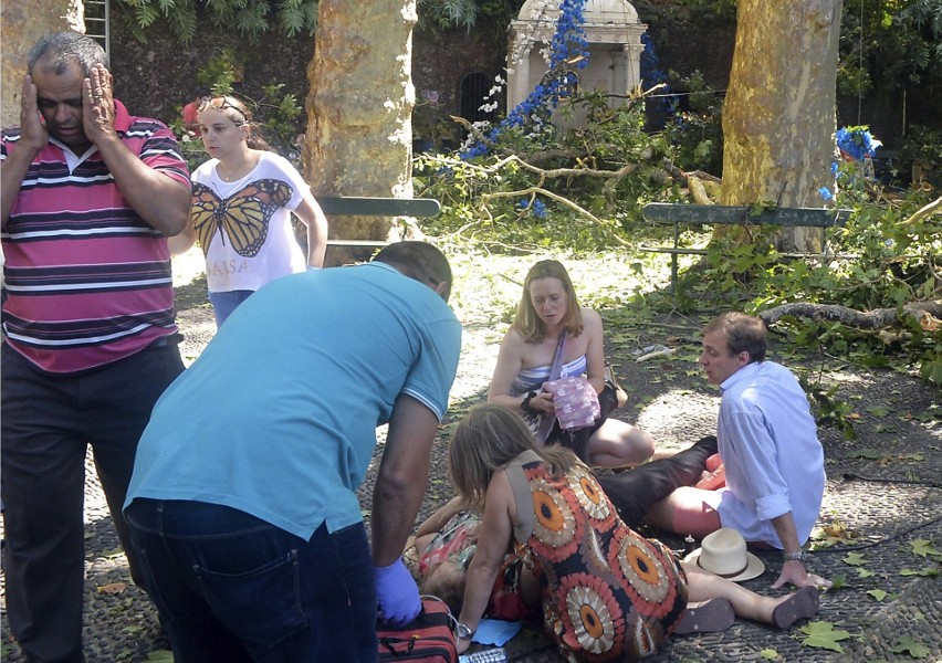 Portugalia, Madera: Tragedia w Funchal. Drzewo przygniotło ludzi, zginęło 12 osób [ZDJĘCIA] [WIDEO]