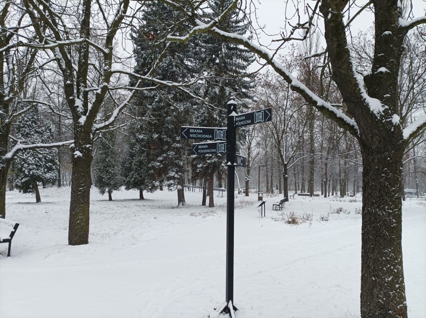 Park Bioróżnorodności w Sosnowcu zachwyca pod zimowym...