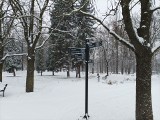 Park Bioróżnorodności w Sosnowcu zachwyca pod zimowym płaszczem. Idealne miejsce na spacer. Zobacz zdjęcia