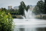 Kilkaset domków dla ptaków, karmniki dla kotów oraz poidełka - SM „Budowlani” myśli także o zwierzętach