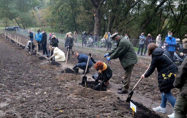 Akcja "Jedno dziecko, jedno drzewo" w 2020 roku w Szczecinie