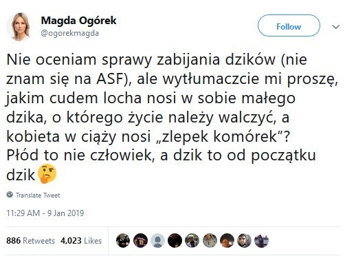 Awantura o dzika: Dzik jest dziki - kto jest zły? OPINIE,...