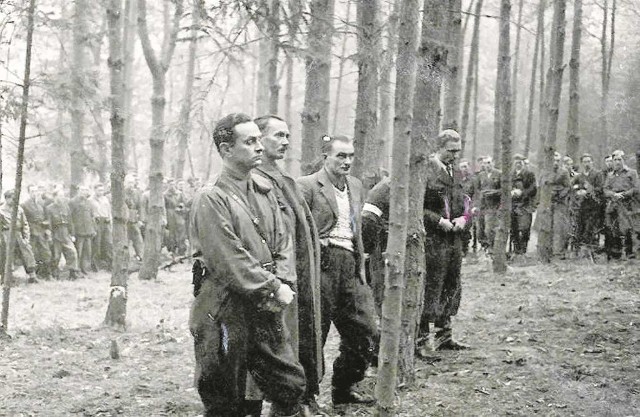 Koncentracja oddziałów 106. Dywizji Piechoty AK latem 1944 r.