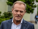 Donald Tusk wróci do polskiej polityki? Poseł Sterczewski ma nadzieję, że pomoże rozdawać ulotki. Wypowiedź posła rozgrzała internet