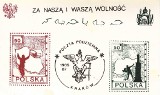 Za wolność naszą i waszą. Polska opozycja wobec wojny Afganistanie