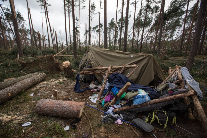 Suszek - las po nawałnicy, rok 2017