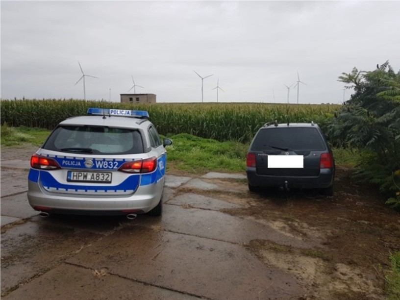 Powiat stargardzki. 29-latek uciekał passatem przed policją. Schował się na polu kukurydzy. Był pod wpływem amfetaminy