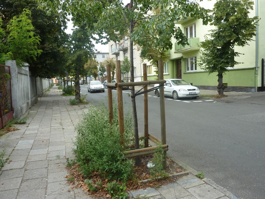 W 2013 roku urząd miasta informował,że przy ul. Zamoyskiego...