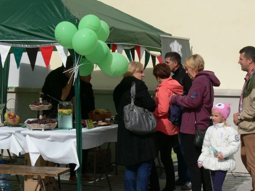 II Piknik Ekologiczny - Lataj jak ptak w Tarnobrze