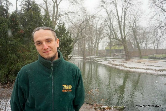 Krzysztof Kałużny z wrocławskiego zoo