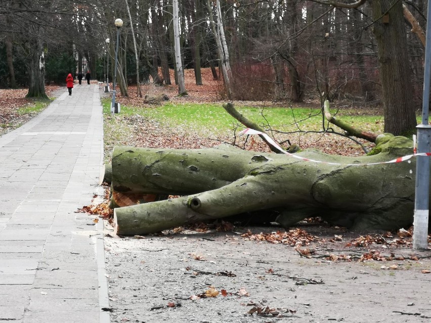 Sztorm w Świnoujściu. Bałtyk zatopił plażę oraz nabrzeża wysp. Takiej sytuacji nie było tu już dawno [ZDJĘCIA]