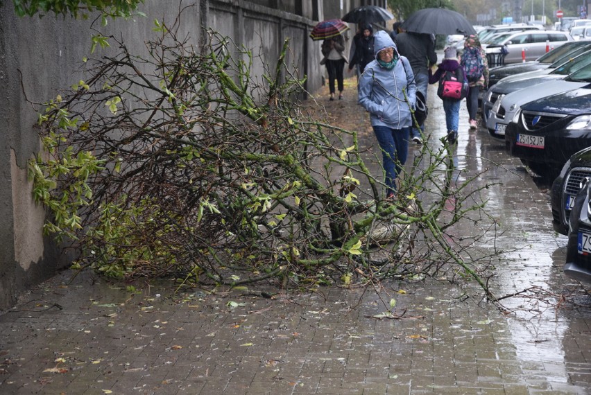 W Stargardzie i okolicy drzewa lecą na ulice. Jest niebezpiecznie!