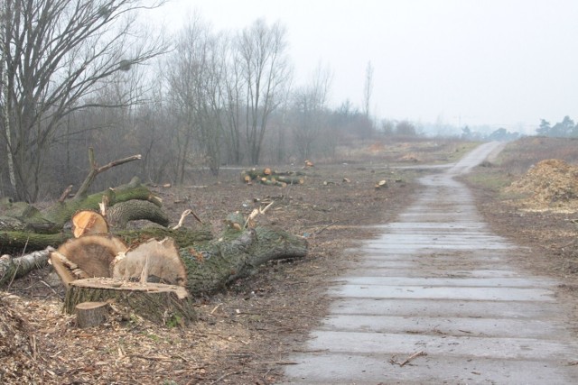 Ulica Ceglana w Puławach