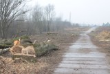 Puławy: Ruszyły prace przy budowie ulicy Ceglanej 