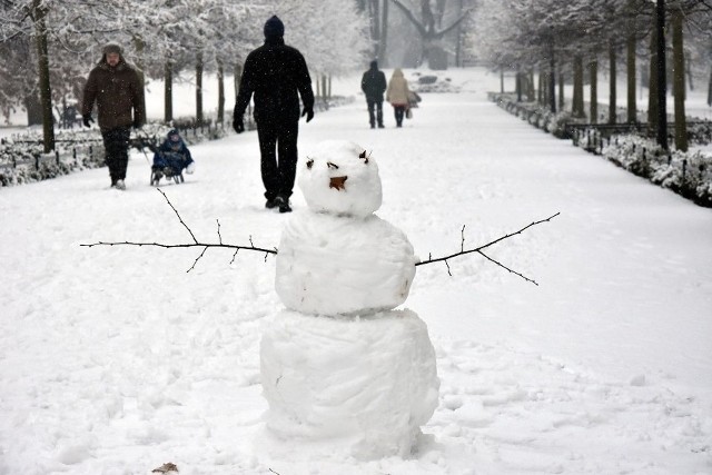 Grubość pokrywy śnieżnej będzie miała w niektórych miejscach Wrocławia nawet 6 cm
