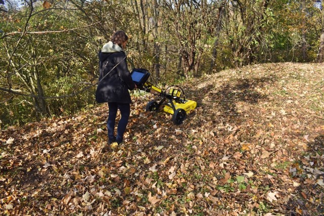 Badania georadarowe zostały przeprowadzone zarówno na Górze Zamkowej w Bieczu, jak i Kobylance