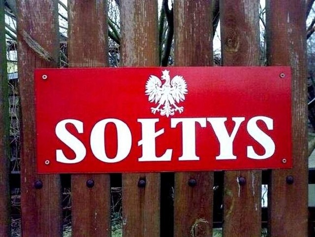 W powiecie toruńskim jest 130 sołtysów i 207 wsi